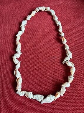 Natural Shell Bead Necklace - White & Cream